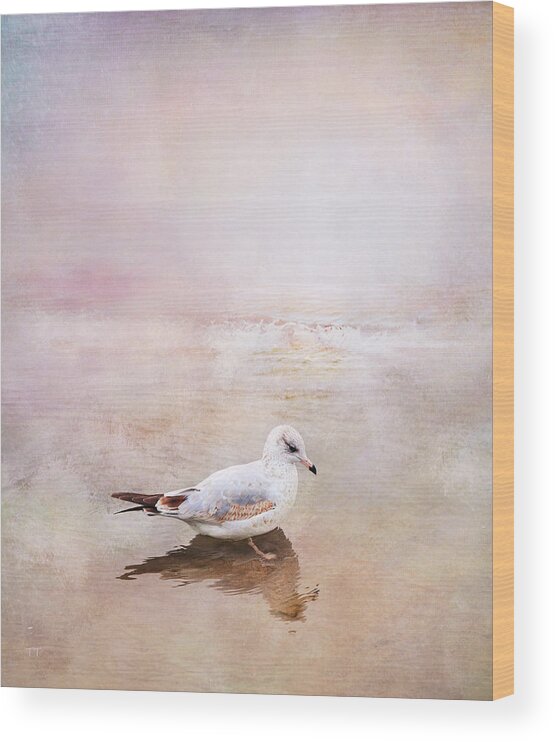 Sunset Wood Print featuring the photograph Sunset With Young Seagull by Theresa Tahara