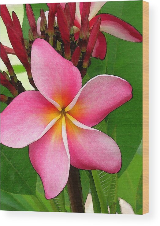 Plumeria Wood Print featuring the photograph Sweet Fragrance by James Temple