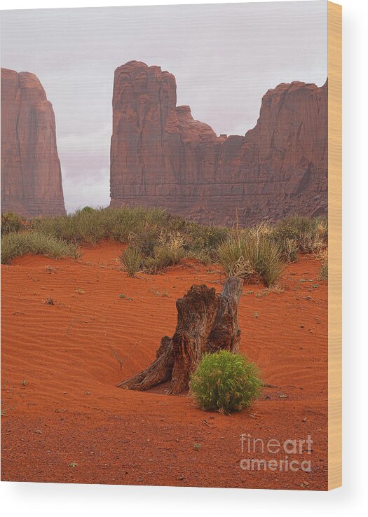 Red Soil Wood Print featuring the photograph The Red Land by Jim Garrison