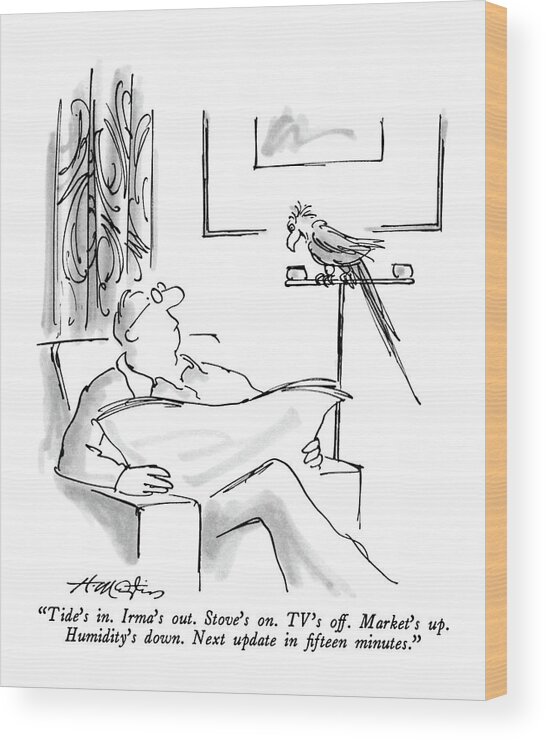 

 Parrot To Man In Armchair. 
Pets Wood Print featuring the drawing Tide's In. Irma's Out. Stove's On. Tv's Off by Henry Martin