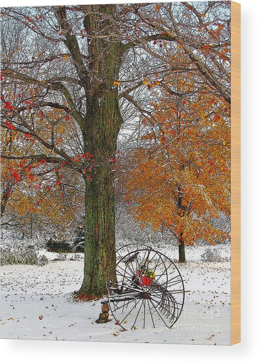 Berry Wood Print featuring the drawing To everything there is a season... by Diane E Berry