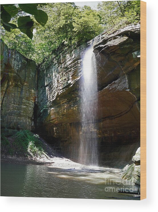 Waterfall Wood Print featuring the photograph Tonty Waterfall Secluded Valley by Pete Klinger