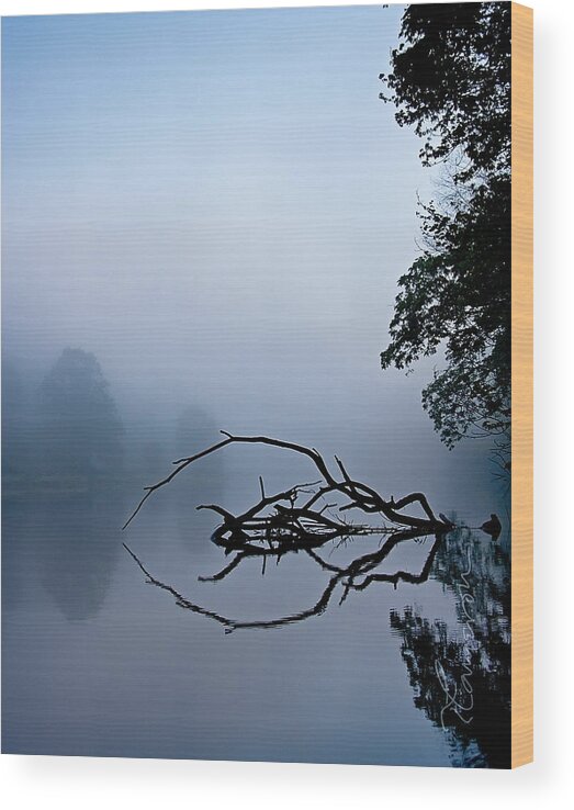 Farmington River Wood Print featuring the photograph Touche by Tom Cameron