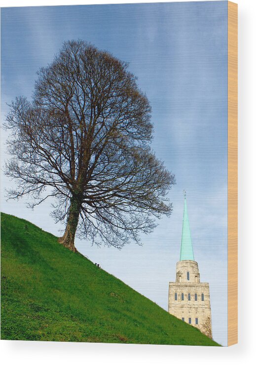 Canon Wood Print featuring the photograph Tree on a Hill by Jeremy Hayden