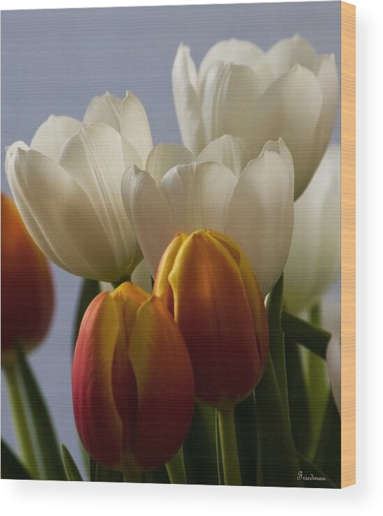 Nature Wood Print featuring the photograph Tulip Bouquet by Michael Friedman