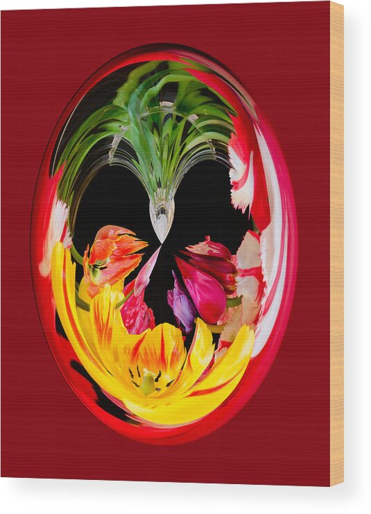 Tulips Wood Print featuring the photograph Red Tulip Orb by Georgette Grossman