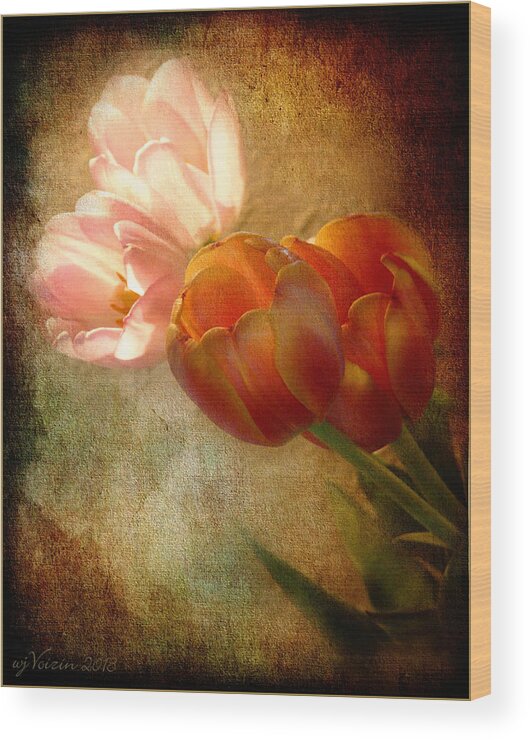 Tulips - Bill Voizin Wood Print featuring the photograph Tulips by Bill Voizin 