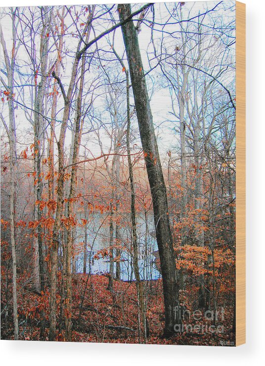 Nature Wood Print featuring the digital art Village Creek State Cabins View by Lizi Beard-Ward