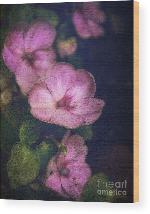 Color Wood Print featuring the photograph Vintage Impatiens by Debra Fedchin