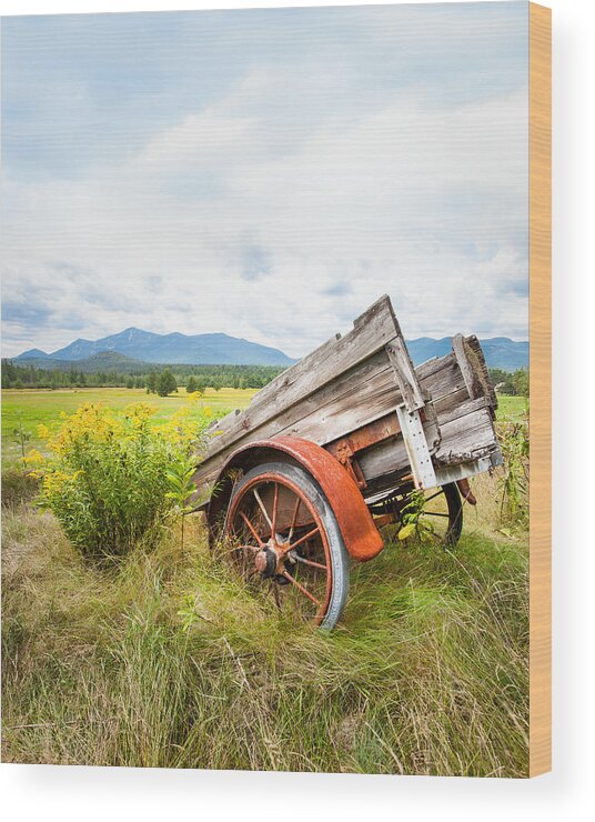 Adirondacks Wood Print featuring the photograph Wagon and Wildflowers - Vertical Composition by Gary Heller