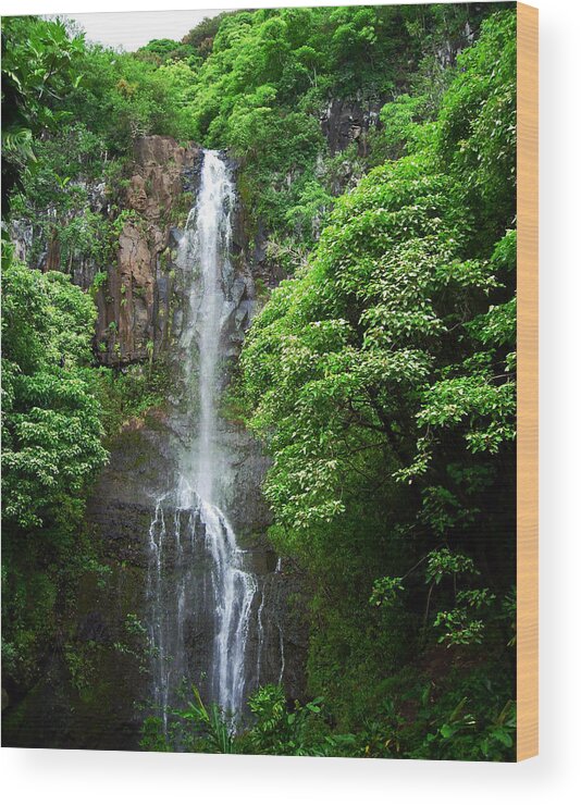 Waikani Falls Wood Print featuring the photograph Waikani Falls at Wailua Maui Hawaii by Connie Fox