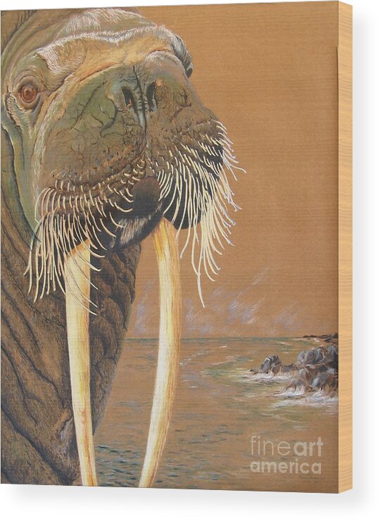 Animal Series Wood Print featuring the drawing Walrus by Nancy Parsons