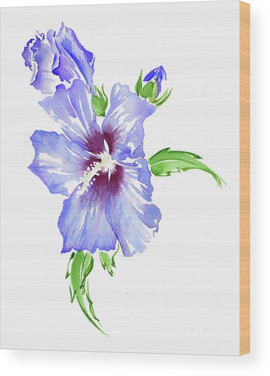 Beauty In Nature Wood Print featuring the painting Watercolor Painting Of Hibiscus by Ikon Images