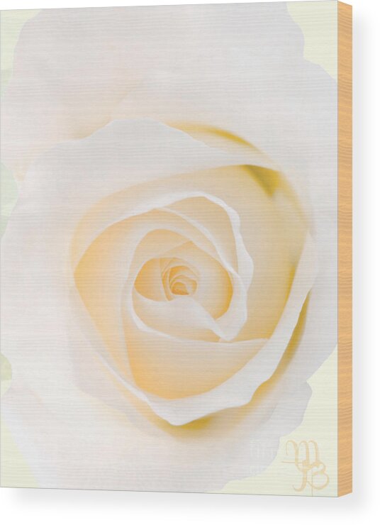 Rose Wood Print featuring the photograph White Rose by Mindy Bench