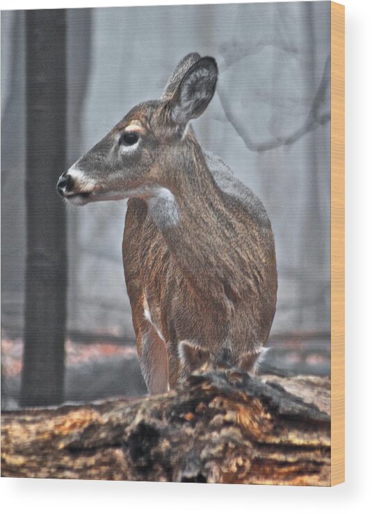 Animal Wood Print featuring the photograph Whitetail on a Foggy Morning by Michael Peychich