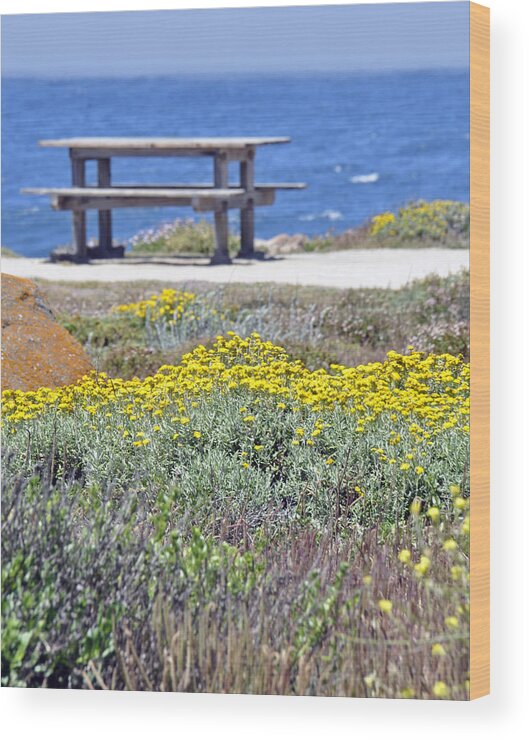 California Wood Print featuring the photograph Wild Flowers along Pacific Coast Highway by Caroline Stella