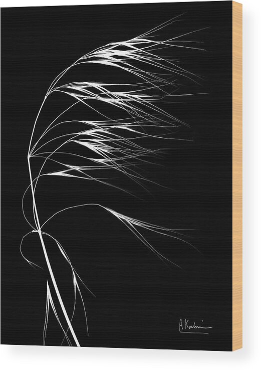 Biological Wood Print featuring the photograph Wild Grass Seed Heads by Albert Koetsier X-ray/science Photo Library