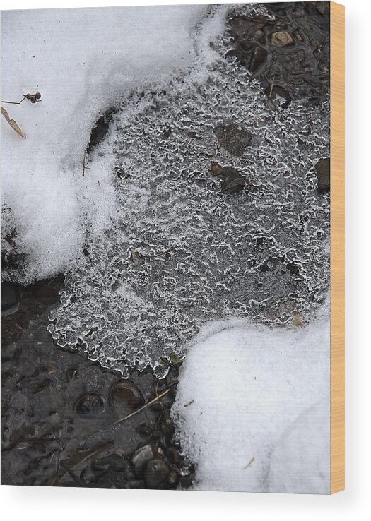 Cold Wood Print featuring the photograph Winter Jewels VI by Alan Norsworthy