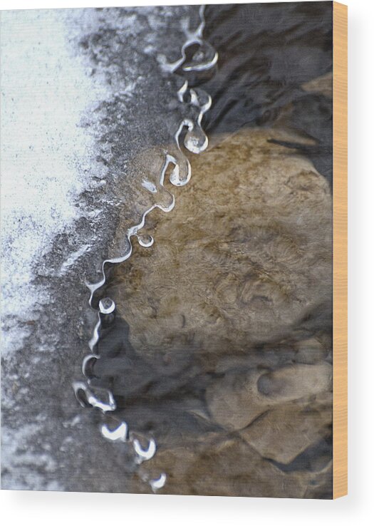 Cold Wood Print featuring the photograph Winter Jewels X by Alan Norsworthy