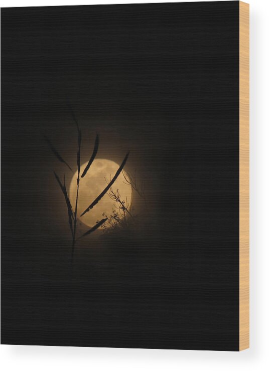 Moon Wood Print featuring the photograph Winter Marsh Moon by Deborah Smith