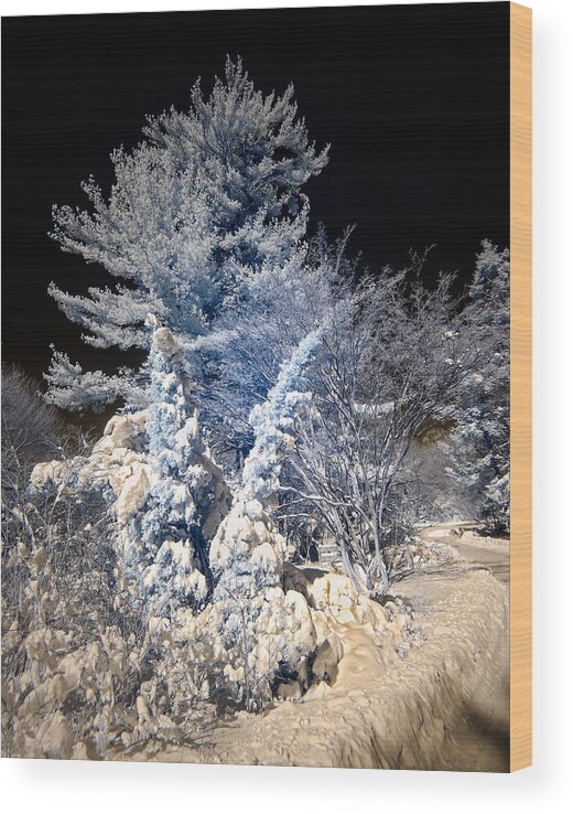 Snow Scene Wood Print featuring the photograph Winter Wonderland by Steve Zimic