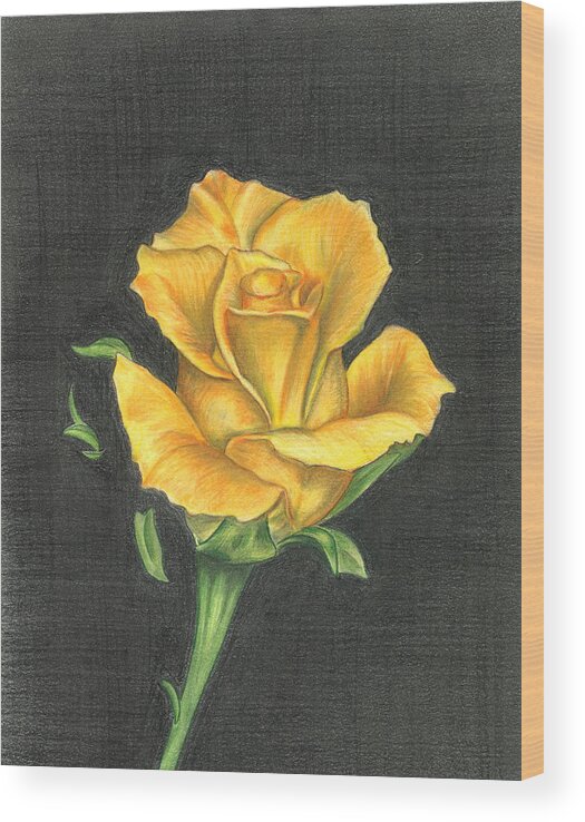 Rose Wood Print featuring the drawing Yellow Rose by Troy Levesque