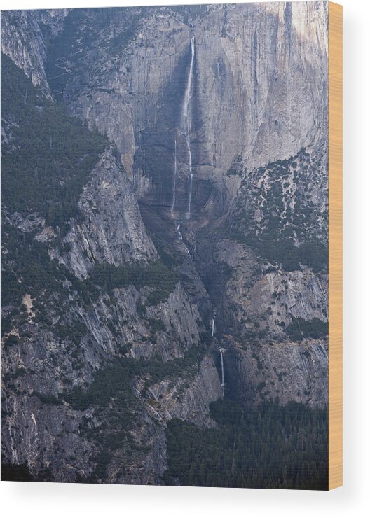 Yosemite Falls Wood Print featuring the photograph Yosemite Falls by Matthew McAward