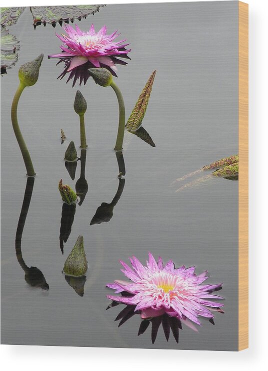 Pink Lilies Wood Print featuring the photograph Zen Lilies by Kim Bemis