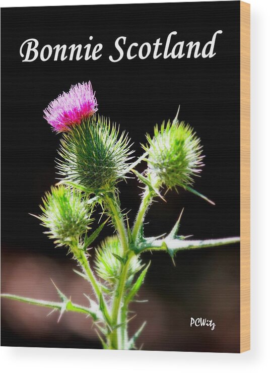 Bonnie Scotland Wood Print featuring the photograph Bonnie Scotland by Patrick Witz