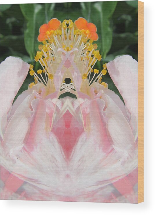 Flowers Wood Print featuring the photograph Hibiscus Mystery #11 by Michele Caporaso