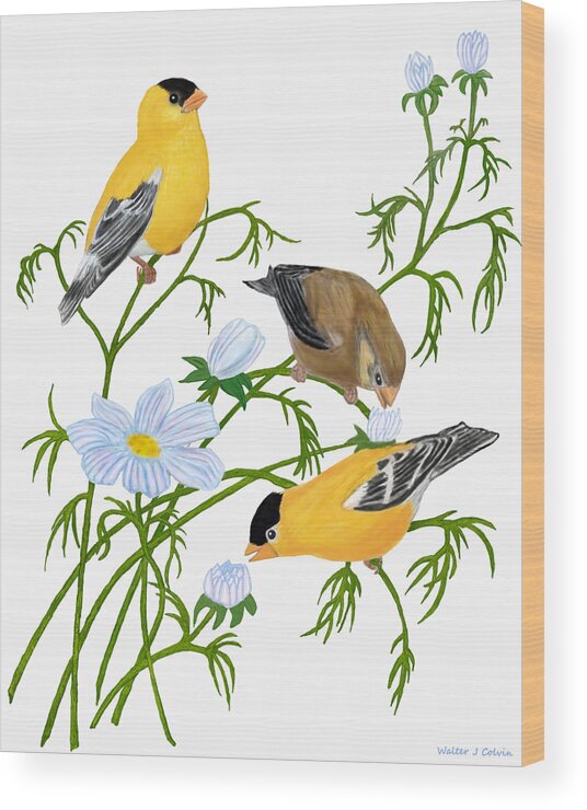 Goldfinch Wood Print featuring the digital art American Goldfinch by Walter Colvin