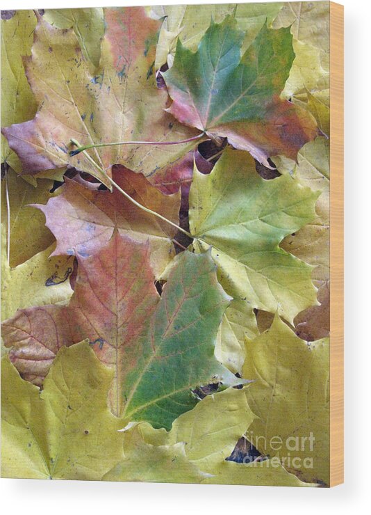 Creative Wood Print featuring the photograph Autumn Foliage by Ausra Huntington nee Paulauskaite