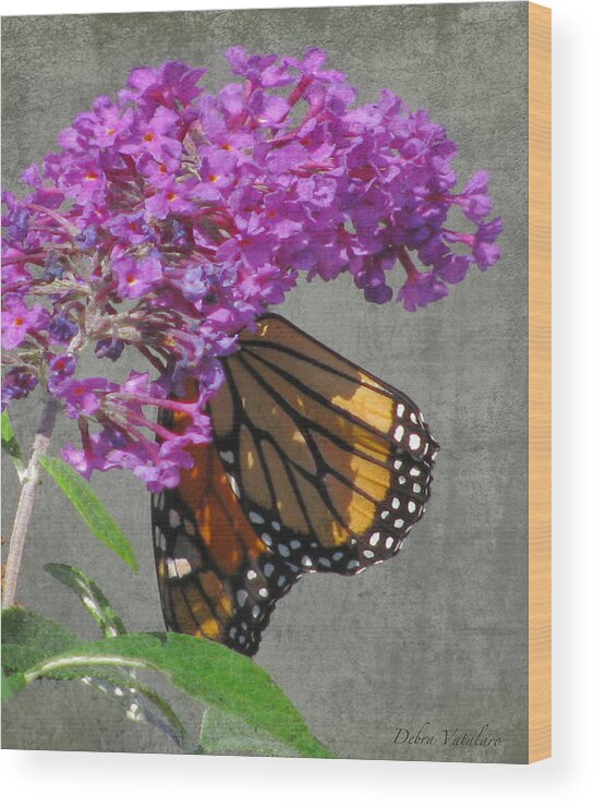 Butterfly Collection Art Wood Print featuring the photograph Butterfly Collection Art by Debra   Vatalaro