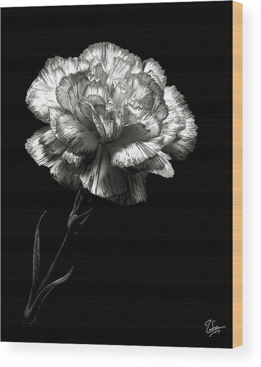 Flower Wood Print featuring the photograph Carnation in Black and White by Endre Balogh