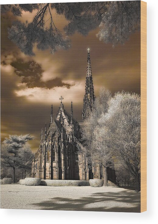 Church Wood Print featuring the photograph Garden City Cathedral by Steve Zimic
