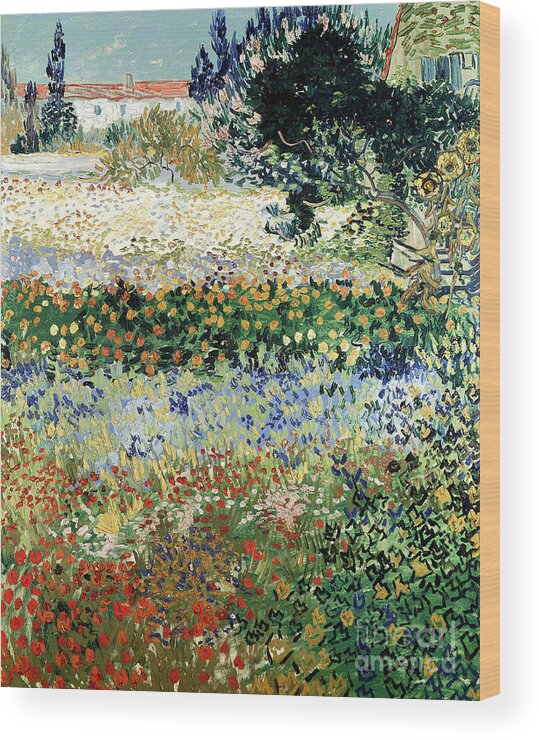 Garden In Bloom Wood Print featuring the painting Garden in Bloom by Vincent Van Gogh