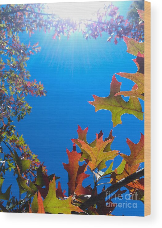 Cml Brown Wood Print featuring the photograph Happy Autumn by CML Brown