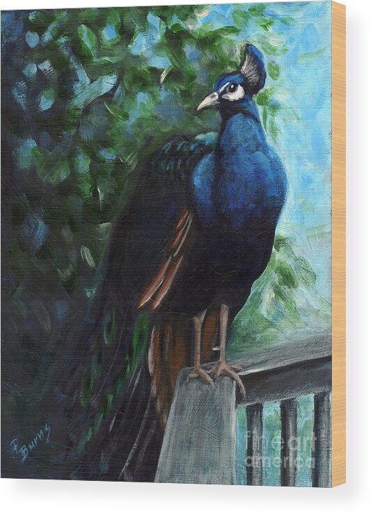 Peacock Wood Print featuring the painting Hard to Camouflage by Pat Burns