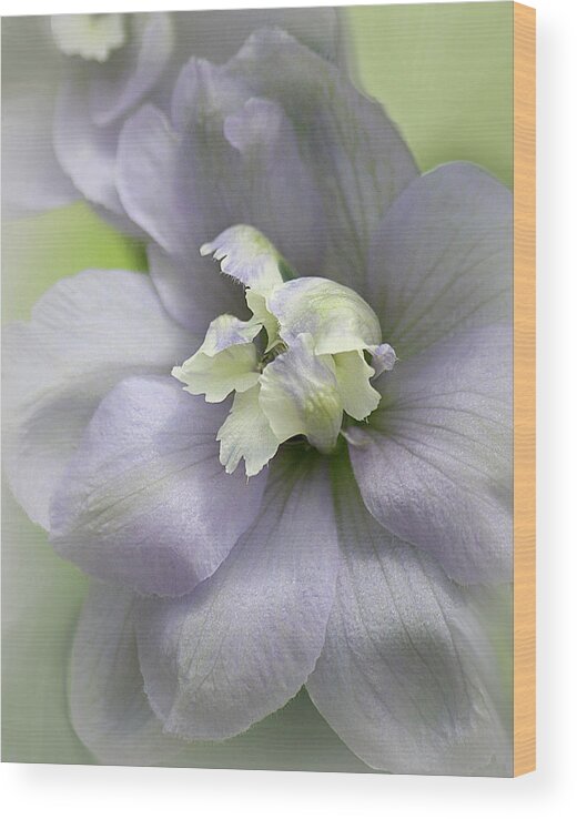 Flower Wood Print featuring the photograph His tender touch by The Art Of Marilyn Ridoutt-Greene