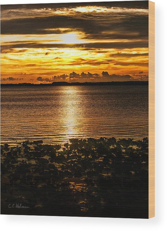 Sunset Wood Print featuring the photograph Illuminated by Christopher Holmes