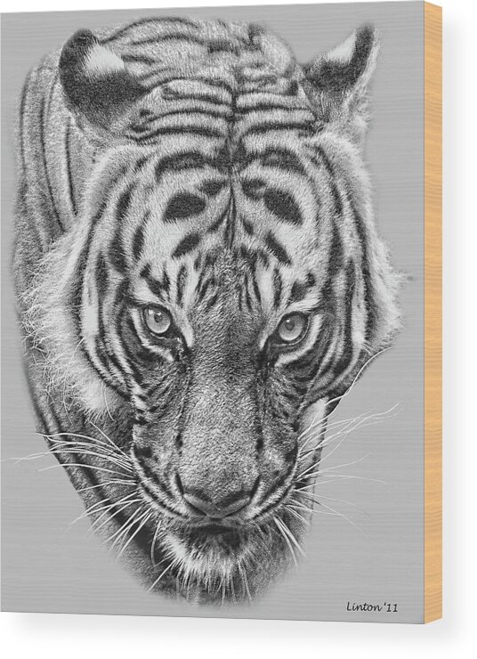 Malayan Tiger Wood Print featuring the digital art Malayan Tiger by Larry Linton