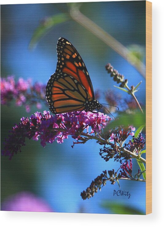 Butterfly Wood Print featuring the photograph Monarch Butterfly by Patrick Witz