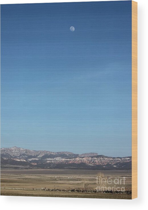 View Wood Print featuring the photograph Moon over Utah by Erica Hanel