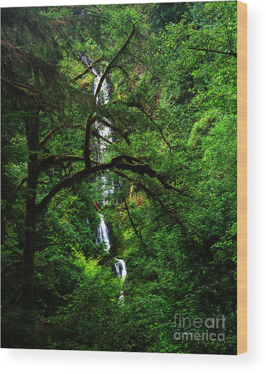 Munson Creek Falls Wood Print featuring the photograph Oregon - Munson Creek Falls by Terry Elniski