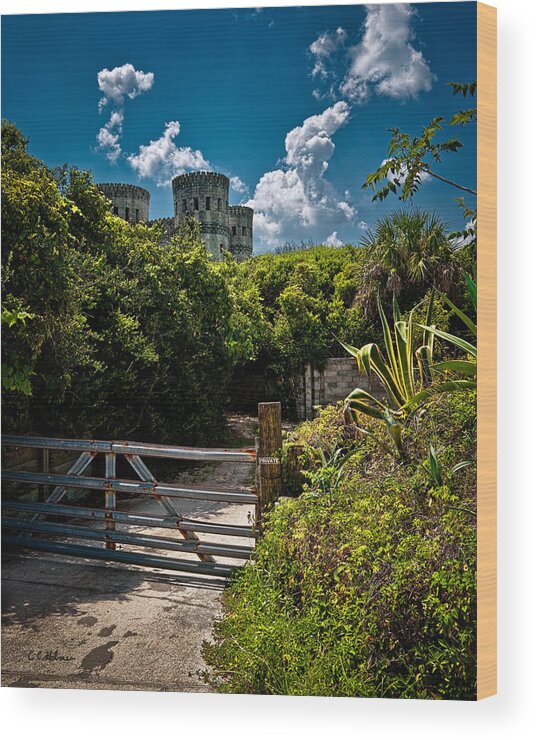 Castle Wood Print featuring the photograph Ottis Castle by Christopher Holmes