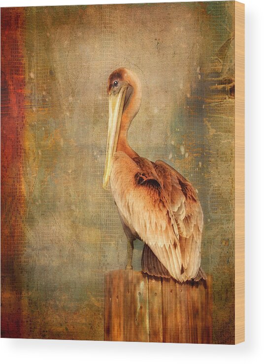 Pelican Wood Print featuring the photograph Portrait of a Pelican by Karen Lynch