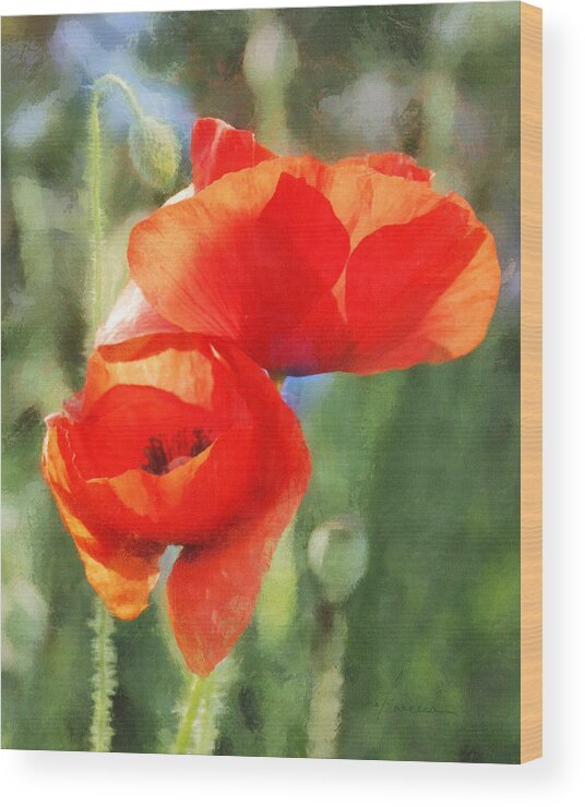 Poppies Wood Print featuring the digital art Red Poppies in Sunlight by Frances Miller