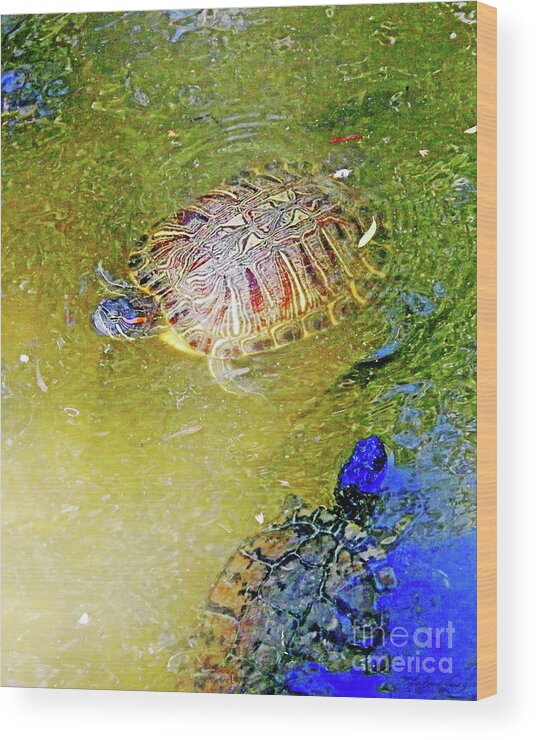 Turtles Wood Print featuring the digital art Red Sliders by Lizi Beard-Ward