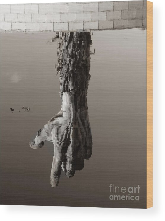 Reflections Wood Print featuring the photograph Reflections Of The Past by Raymond Earley