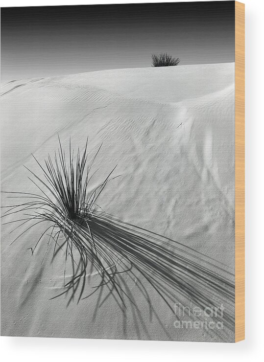 Dunes Wood Print featuring the photograph Shadow on Dunes White Sands New Mexico by Pete Paul